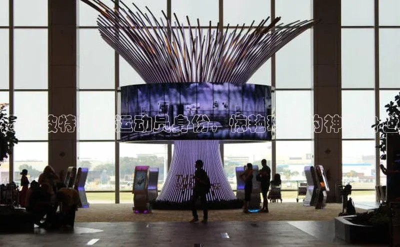 头号玩家唯一官网官方版知乎揭秘波特足球运动员身份，惊艳球迷的神秘身世