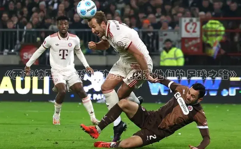 龙8官网 long8 bet普信公司《西藏纳西族足球运动员：探索他们的足球之路》