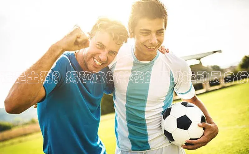 龙8网上娱乐平台华策影视谁是土狗？揭秘这位神秘的足球运动员身份
