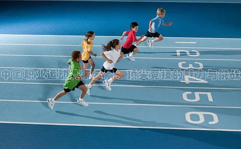 龙8官网 long8 bet百度学术中国职业运动赛事全景：顶尖竞技的魅力与挑战