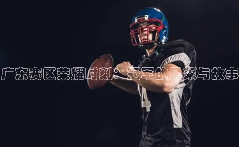 龙8网页版登录官网雷柏科技广东赛区荣耀时刻：冠军的风采与故事