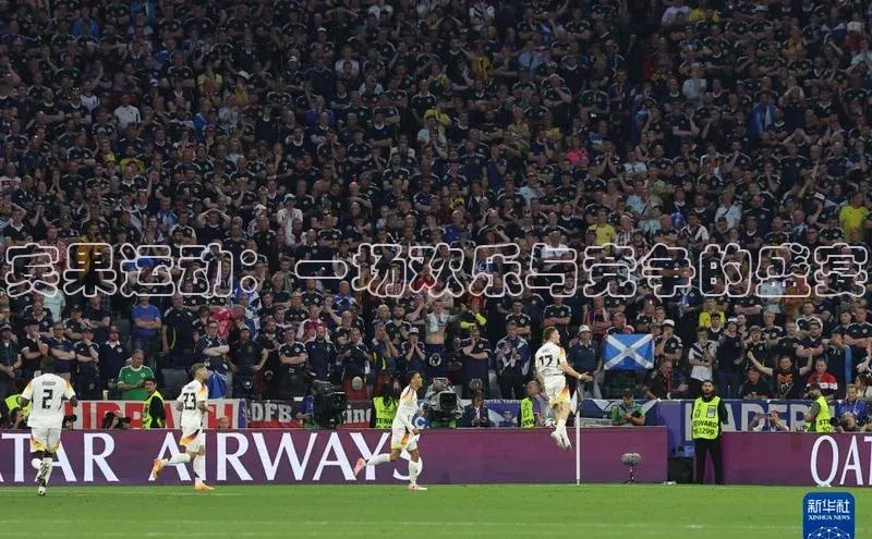 宾果运动：一场欢乐与竞争的盛宴