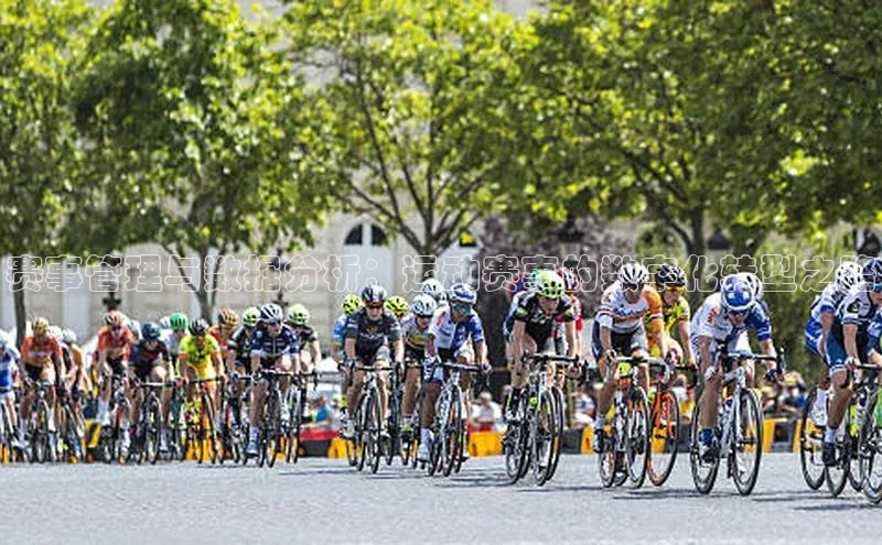 赛事管理与数据分析：运动赛事的数字化转型之路