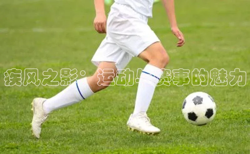 疾风之影：运动与赛事的魅力
