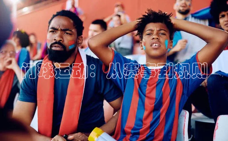 门球运动：从赛事到规则