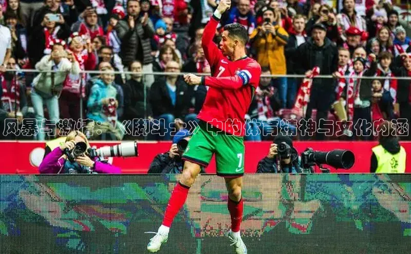 风暴与激情：《脚斗士》中的体育精神与文化内涵