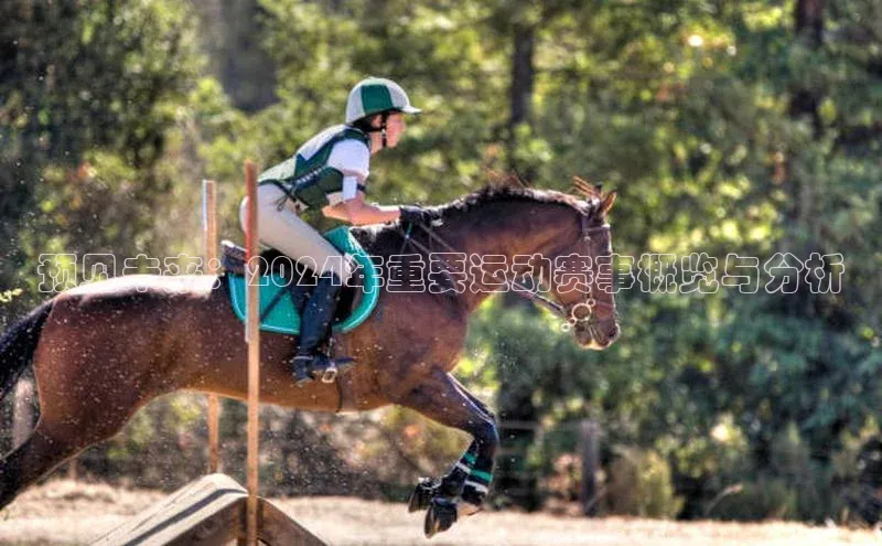 预见未来：2024年重要运动赛事概览与分析