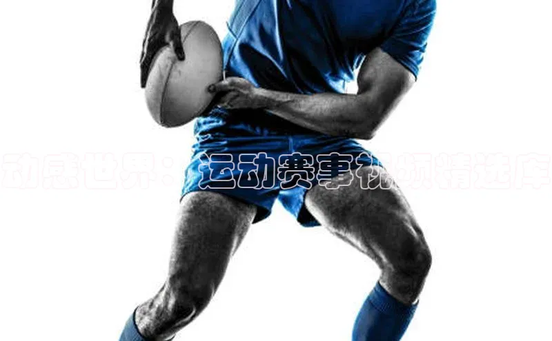 动感世界：运动赛事视频精选库