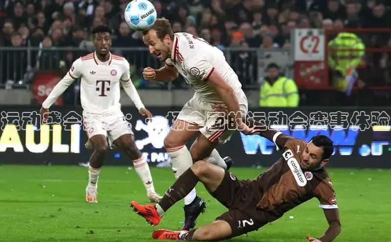 运动盛会指南：一场全面的运动会赛事体验