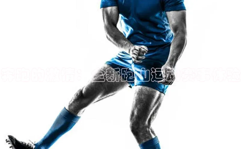 龙八国际app官方版