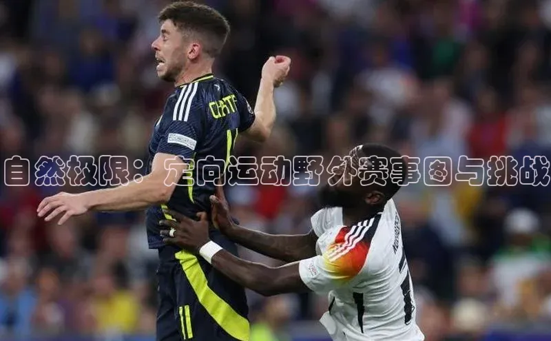 龙八国际app官方下载