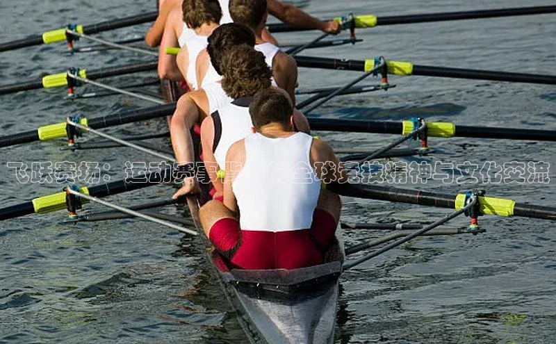 头玩官网登录入口