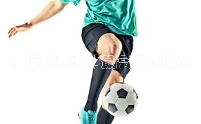 ：运动赛事中最高薪资岗位